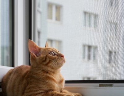 Biobasis® Horren voor ramen 130x150